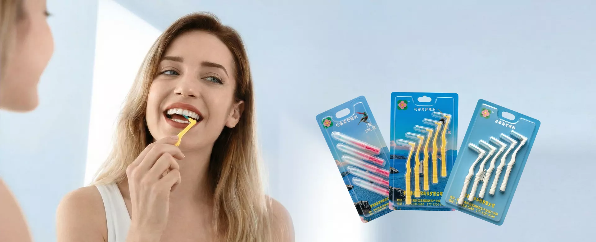 China Interdental Peniculus Supplier