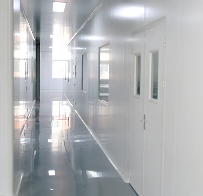 Professional Endoscope Purgatio Peniculus Factory cum GMP Standard Modern Cleanrooms