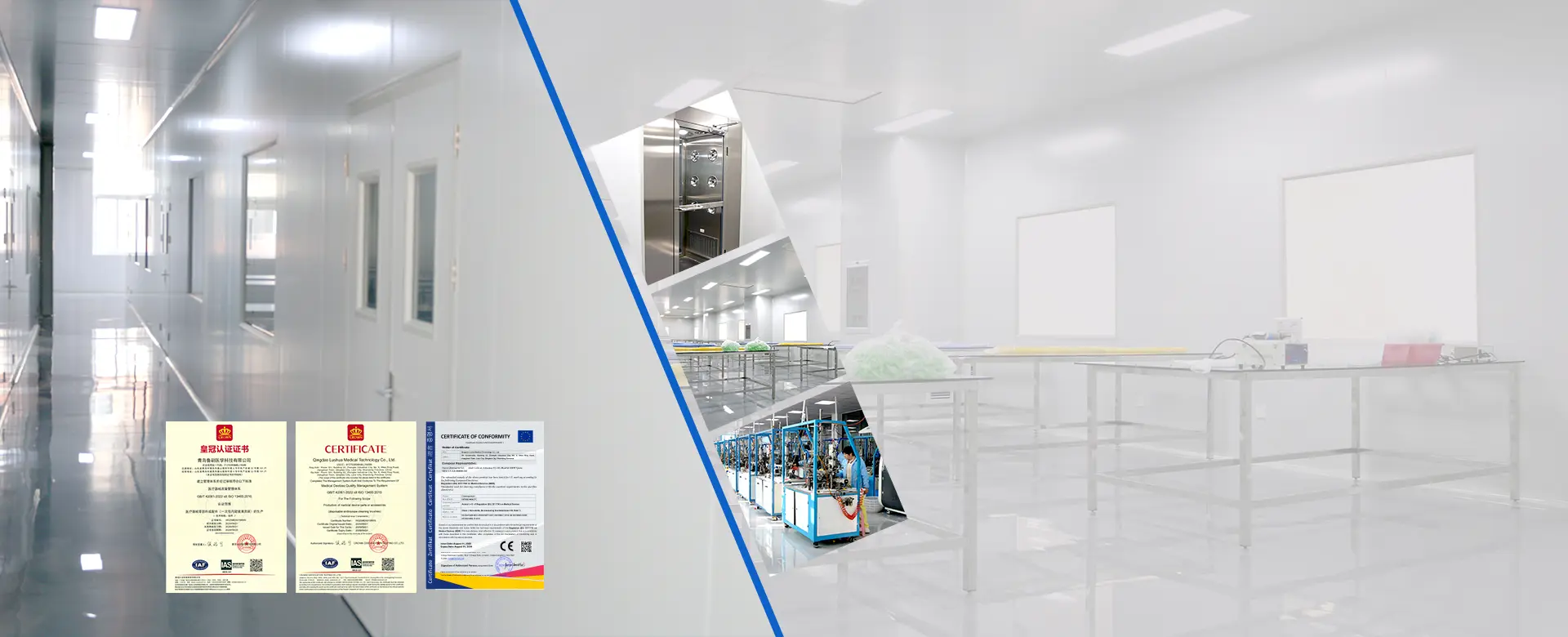 ISO 13485 Certified Endoscope Purgatio Peniculus Factory