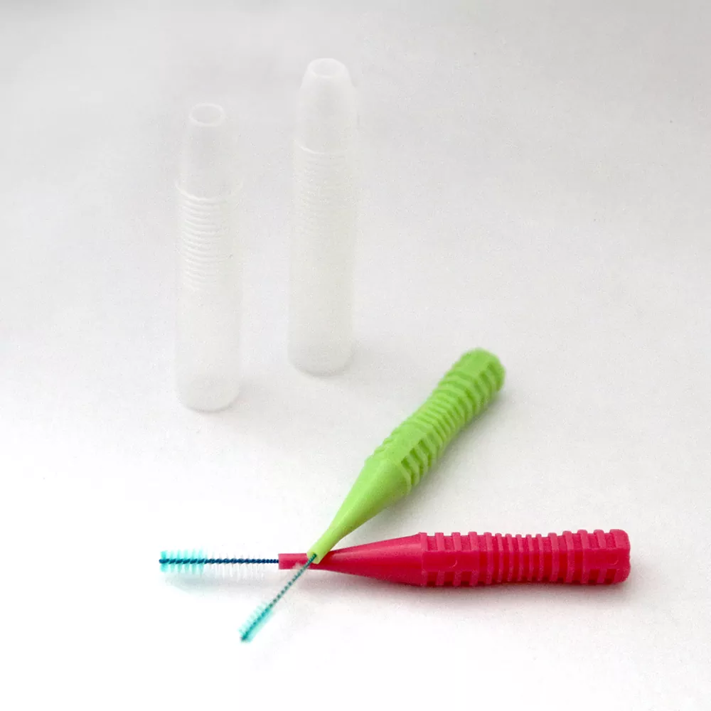 Dentes Purgatio Peniculus
